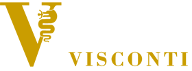 Istituto Visconti