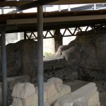 Foro Romano e Palatino Istituto G. Visconti